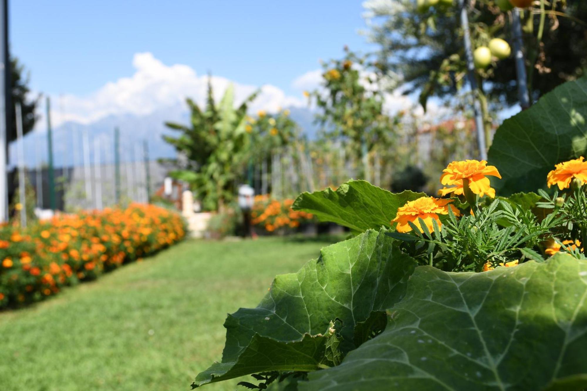 콜리코 Il Giardino Dei Ciliegi 아파트 외부 사진